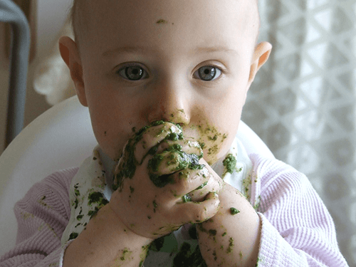 premier repas bébé 